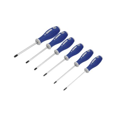 JUEGO DE DESARMADORES 6 PZS ROTTER