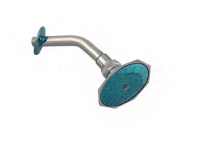 DUCHA METALICA OCTAGONAL C/BRAZO Y CHAPETA INALGRIFOS F-1306