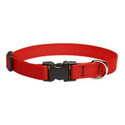 COLLAR P/PERRO